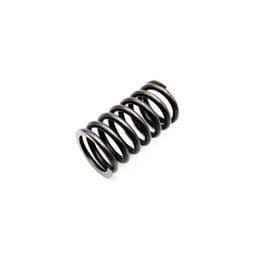Deutz Valve Spring, 4200150
