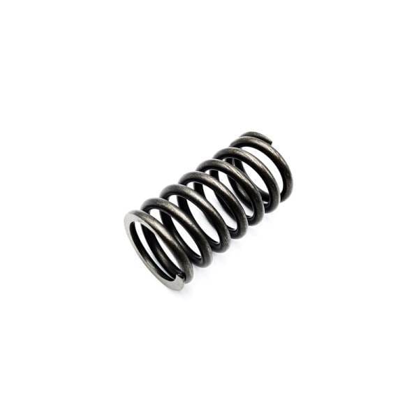 Deutz Valve Spring, 4200150