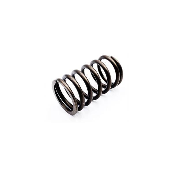 Deutz Valve Spring, 3369305