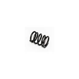 Deutz Valve Spring, 4179633