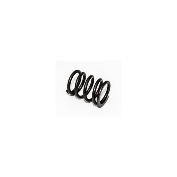 Deutz Valve Spring, 4179633