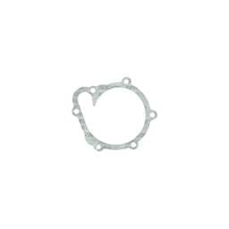 Deutz Water Pump Gasket, 4202975