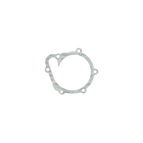 Deutz Water Pump Gasket, 4202975