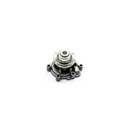Deutz Water Pump, 4300281