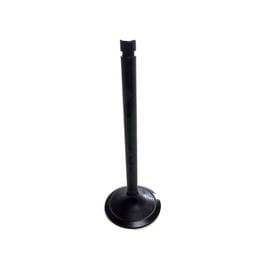 Perkins Intake Valve, MP10426
