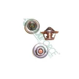 Perkins Thermostat, 2485659