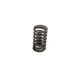 Perkins Valve Spring, 0780006