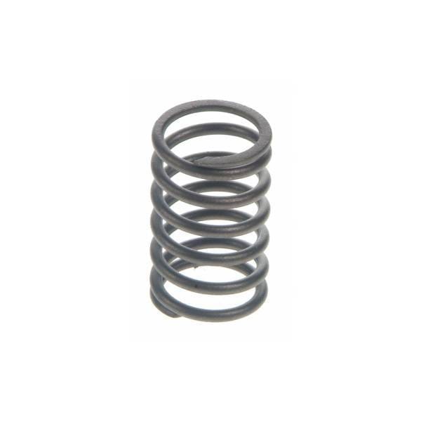 Perkins Valve Spring, 0780007