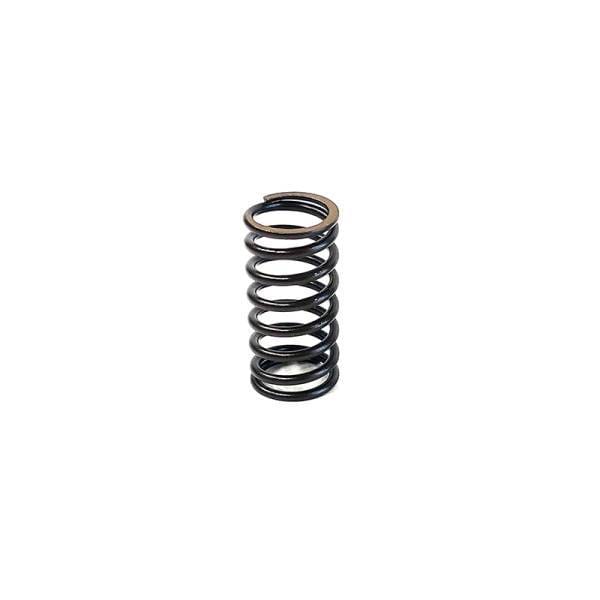 Perkins Valve Spring, 0780143