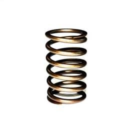 Perkins Valve Spring, 0780144