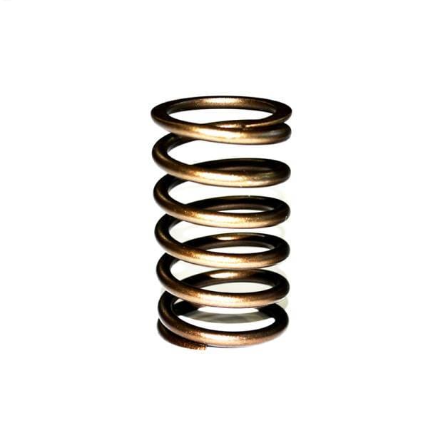 Perkins Valve Spring, 0780144