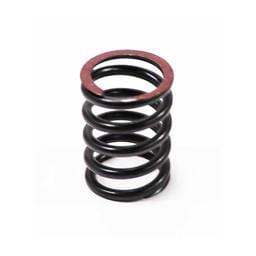 Perkins Valve Spring, 3174P408