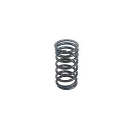 Perkins Valve Spring, 31744131
