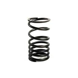 Perkins Valve Spring, 31745121