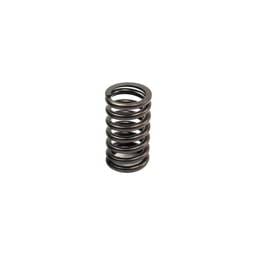Perkins Valve Spring, MP10029