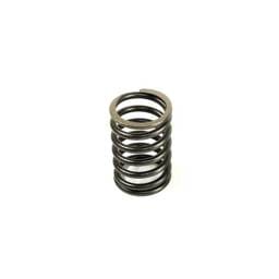 Perkins Valve Spring, Outer, 0780012