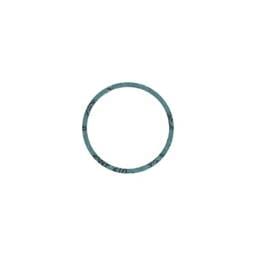Man Thermostat Gasket, 51069010108