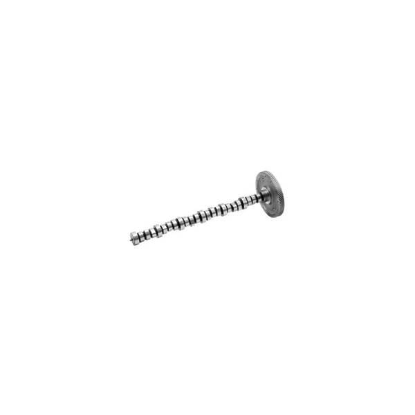 Mercedes Camshaft, 9060504201