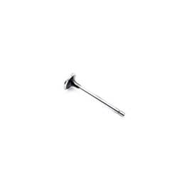 Mercedes Intake Valve, 4600530001