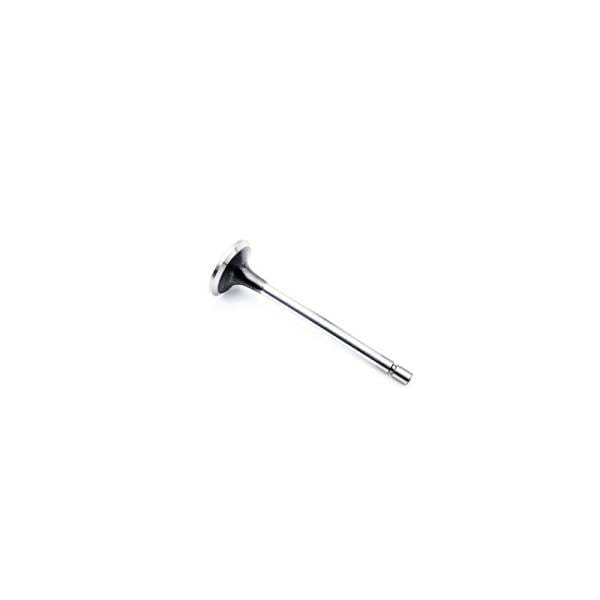 Mercedes Intake Valve, 4600530001