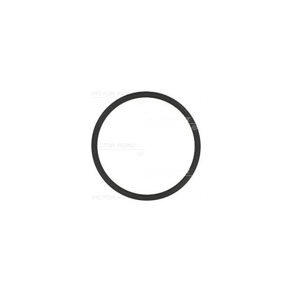 Mercedes O-Ring Oil Sensor OM 647, 249977048
