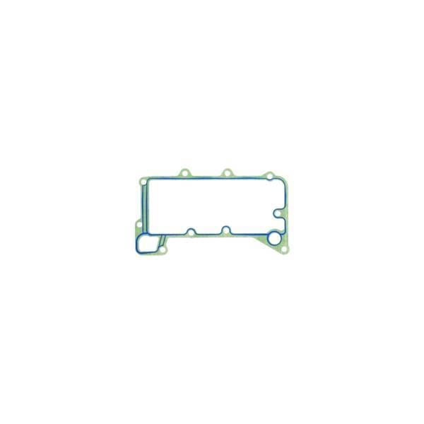 Mercedes Oil Cooler Gasket, 4421880580