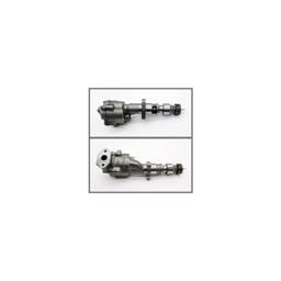 Mercedes Oil Pump, 3661800401