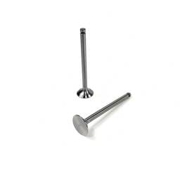 Perkins Exhaust Valve, 0910061