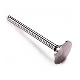 Perkins Exhaust Valve, 31431671